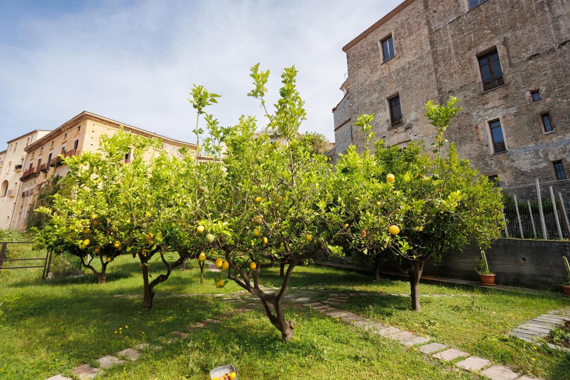 Ferienwohnung The Lemon Tree House Scalea Exterior foto