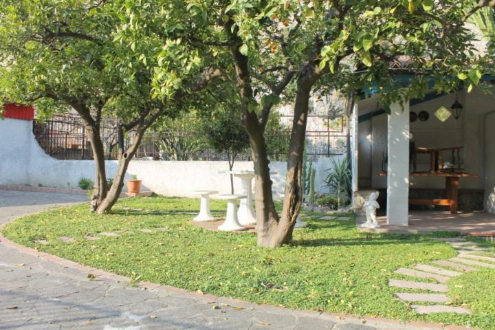 Ferienwohnung The Lemon Tree House Scalea Exterior foto